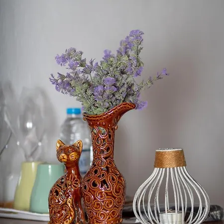 בית הארחה гурме хаус